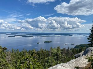 Hyvää Itsenäisyyspäivää 🇫🇮 💙
Glad självständighetsdag 🇫🇮 💙